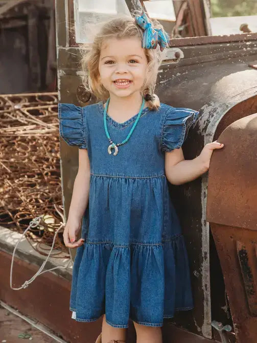 Shea Baby Girls Denim Ruffle Short Sleeve Dress Blue 3/6 Shea Baby Girls Denim Ruffle Short Sleeve Dress Blue 3/6