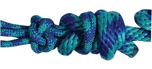 Professional's Choice Rope Halter with Lead HR