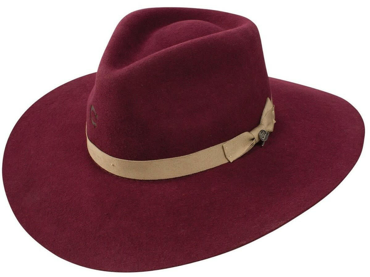 Charlie 1 Horse Highway Hat C4 | Corral Western Wear