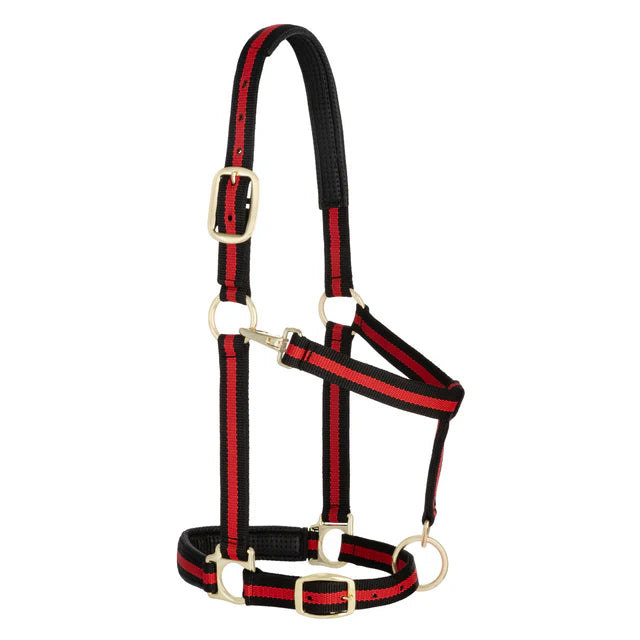 Weaver Padded Adjustable Chin and Throat Snap 1" Halter
