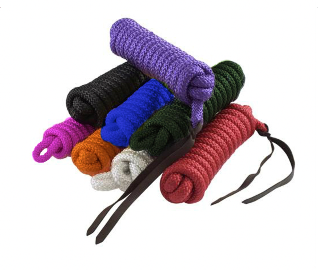 AHE 14' Training Lead Rope w Lash 248.