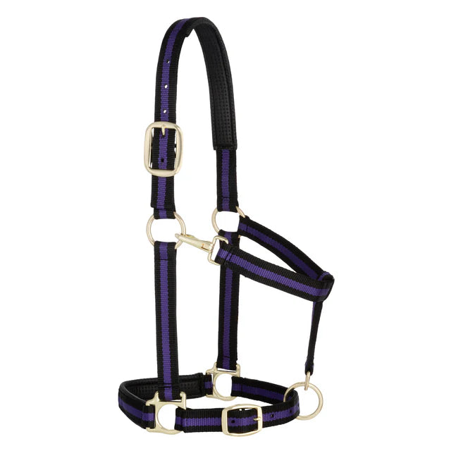 Weaver Padded Adjustable Chin and Throat Snap 1" Halter