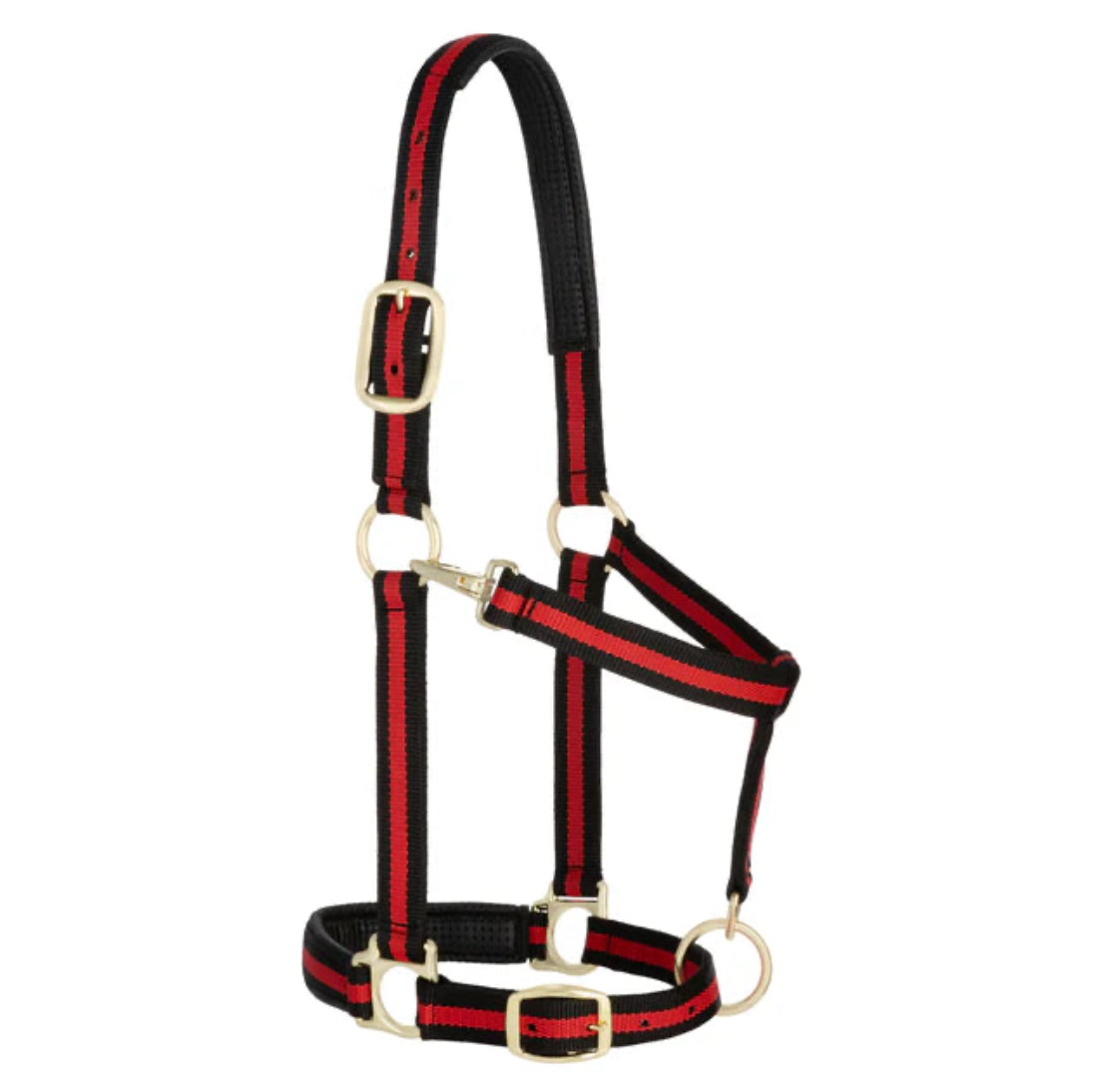 Halters and Leads