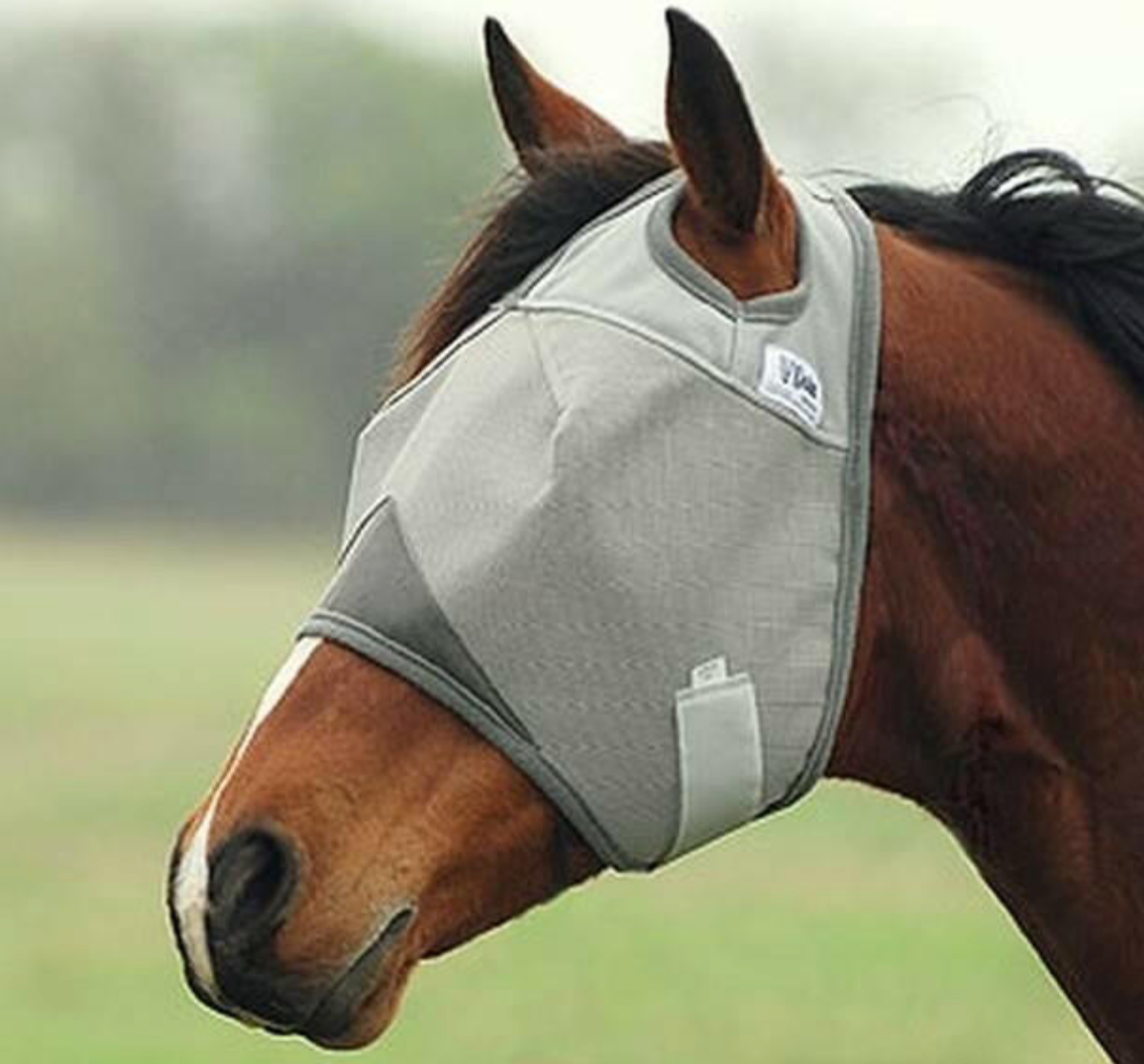 Fly Masks and Sheets