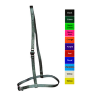 Jacks Race Caveson 10339