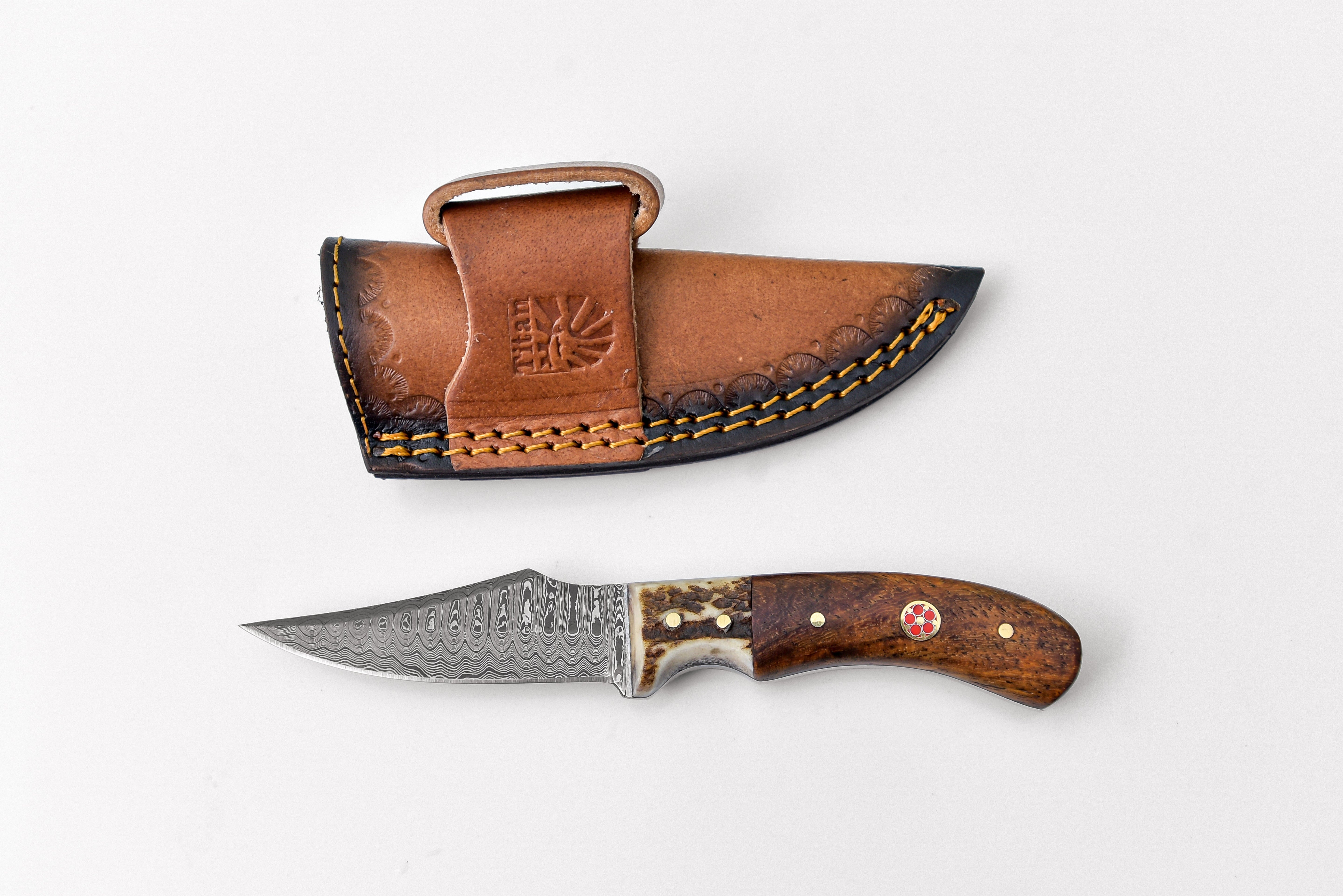 Titan Damascus Skinner Stag & Walnut Grip Knife TD-340