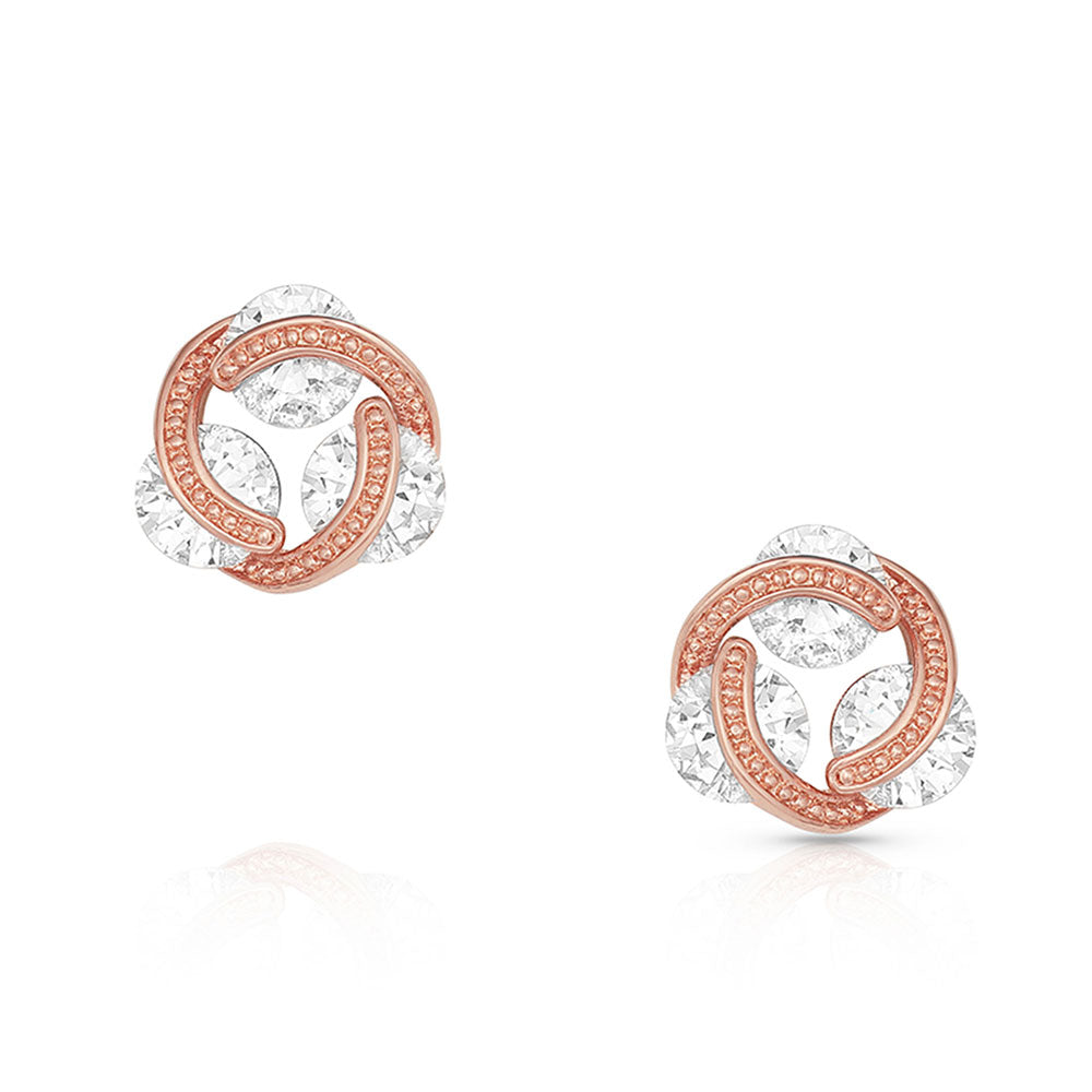 Montana Silversmiths Holding On To A Rose Dawn Earrings ER4800RG