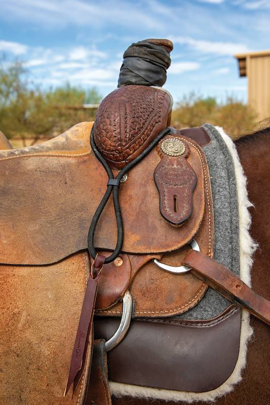 Professional's Choice Bungee Rope Holder RH100