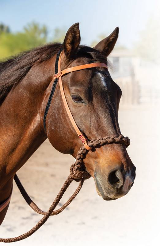 Professional's Choice Loping Hackamore 8168hl