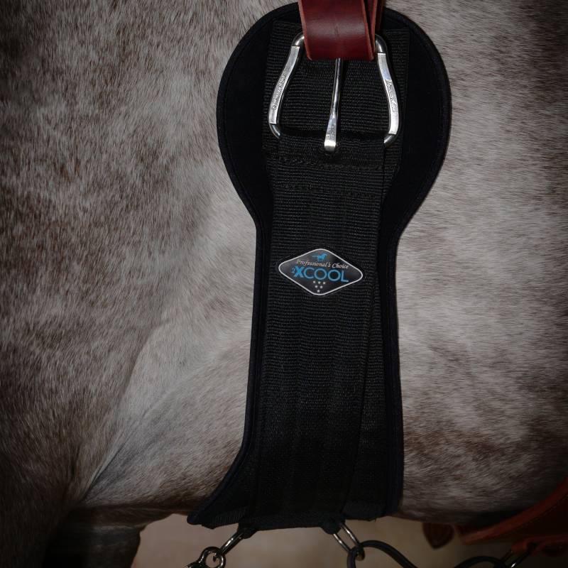 Professional's Choice Black 2XCool Cinch XCC