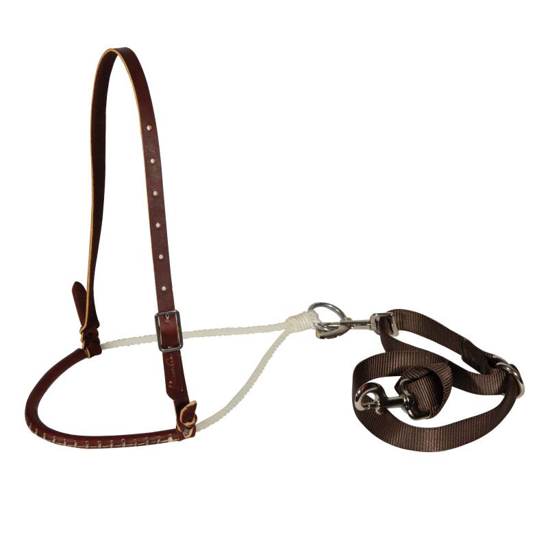 Professional's Choice Pony Tiedown Set 8704-57PONY