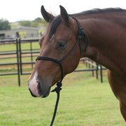 Professional's Choice Equisential Rope Halter with 8' Lead EQHR