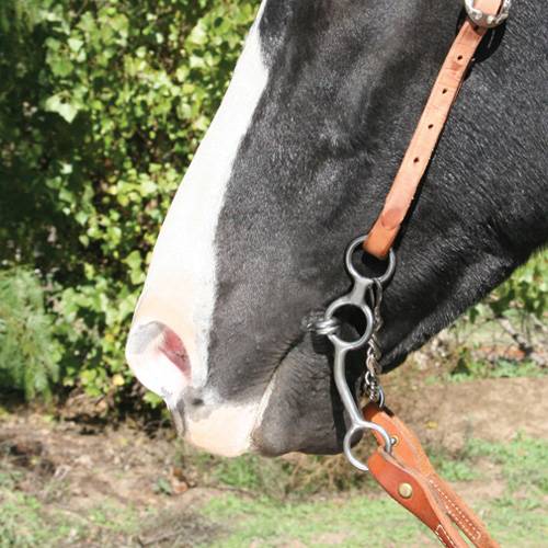 Professional's Choice Equisential Performance Gag Bit EQB-412