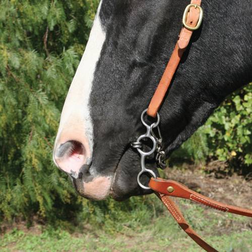 Professional's Choice Equisential Twisted Wire Snaffle Bit EQB-404