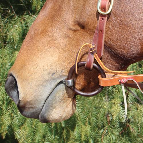 Professional's Choice Avila Copper Twist Snaffle Bit AVB-128