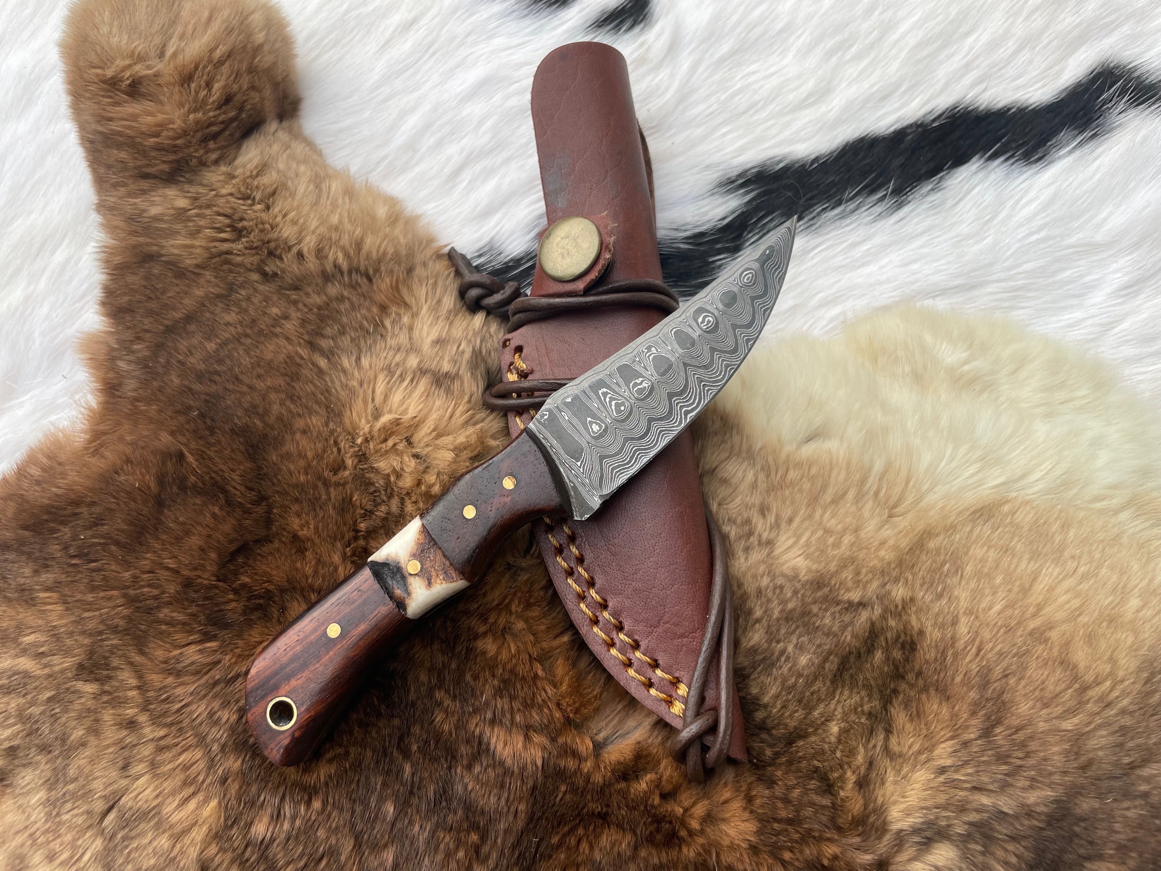 Titan Rosewood & Stag Grip Skinner Knife TK-060