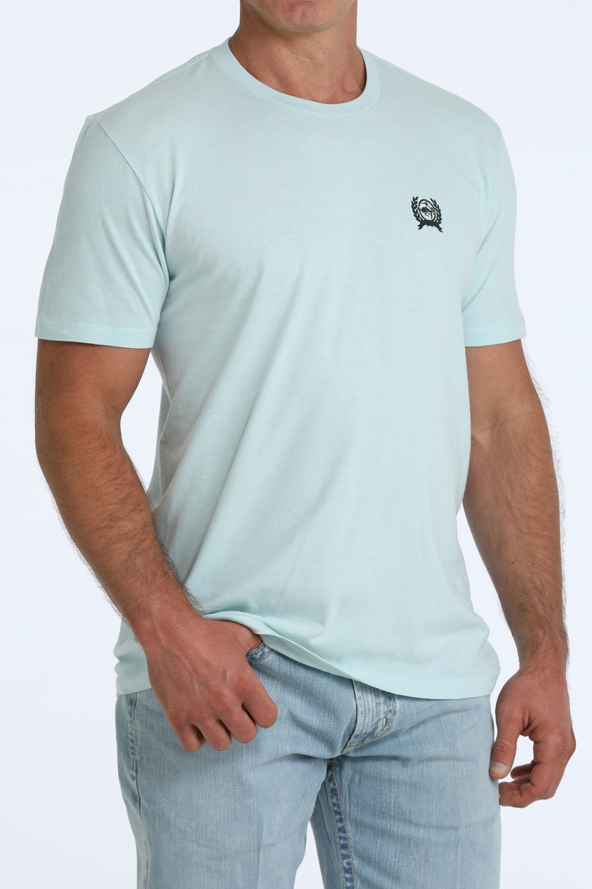 Cinch Men's Mint American Rodeo Graphic Tee MTT1690732