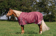 Professional's Choice 1200D 300g Winter Blanket PCWB