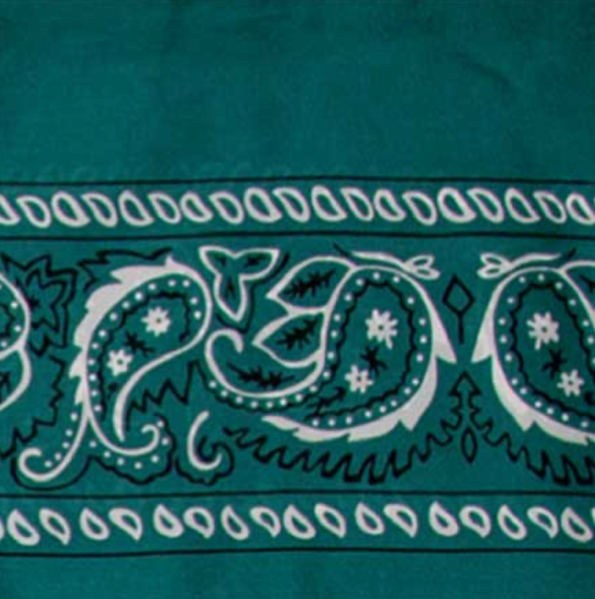 Wyoming Traders Bandana Silk Wild Rag