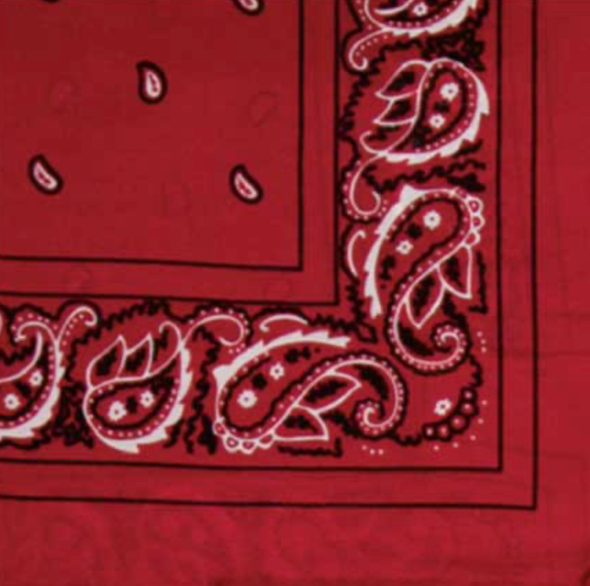 Wyoming Traders Bandana Silk Wild Rag