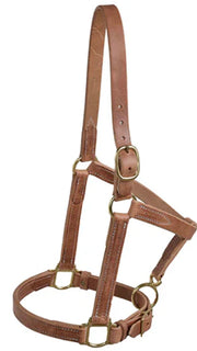 Berlin Custom Leather 1" Horse Halter H07