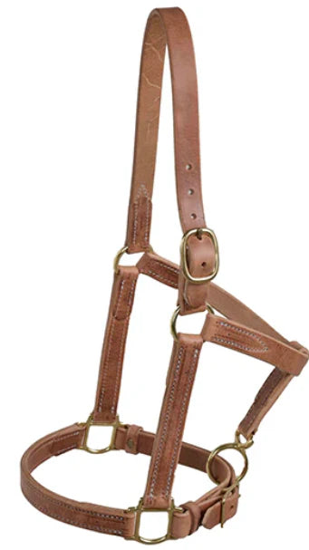 Berlin Custom Leather 1" Horse Halter H07