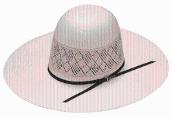 Twister 20X Open 4 1/4" Straw Hat T73546