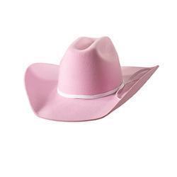Twister Kid's Pink Wool Hat