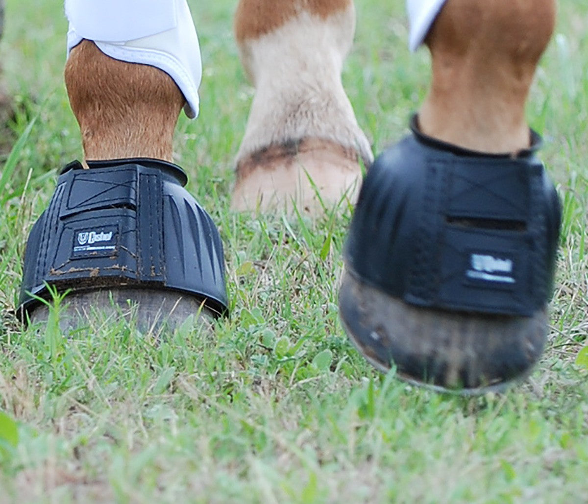 Cashel Rubber Bell Boot BB-BLAR
