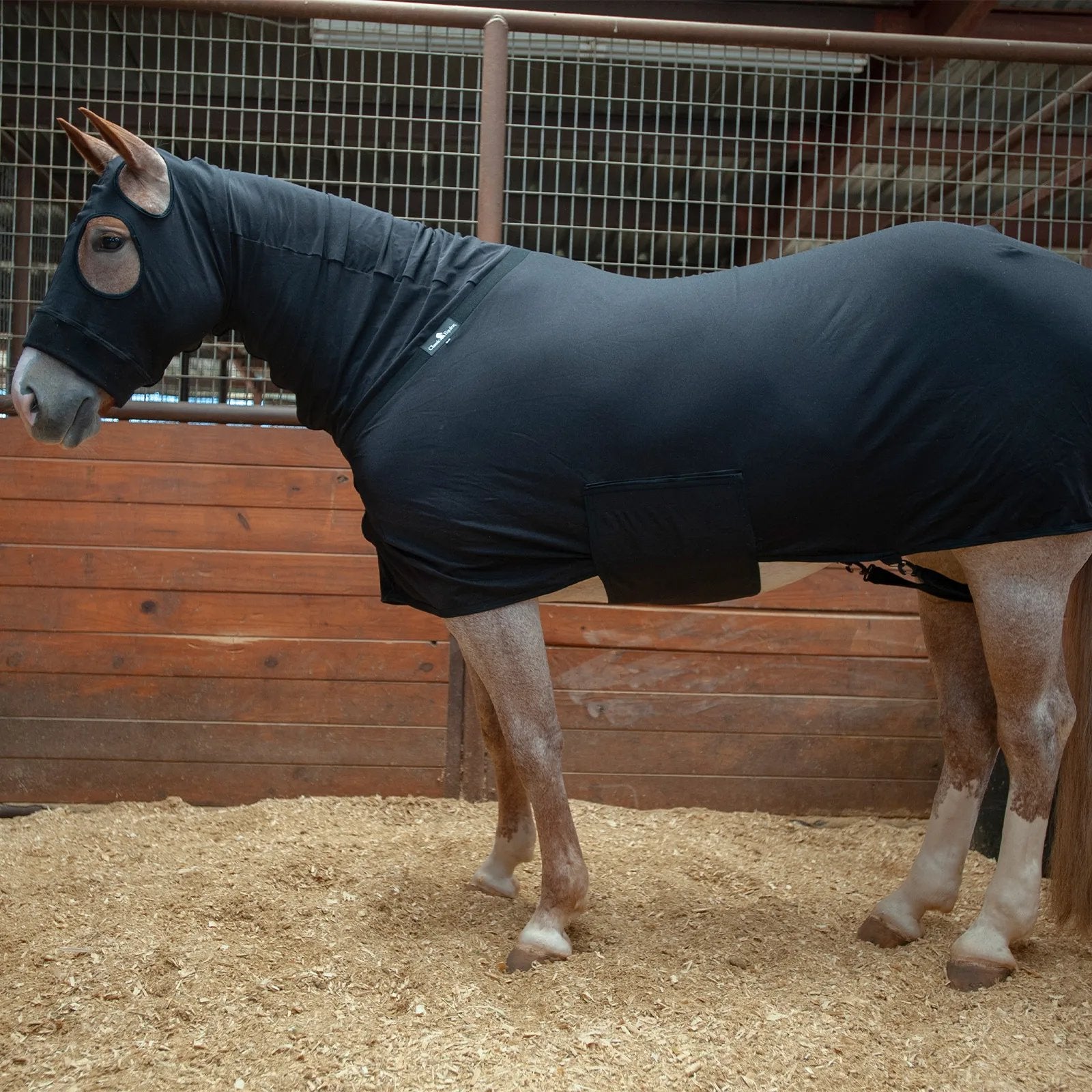 Classic Equine Full Body Black Slinky CESLINKFB
