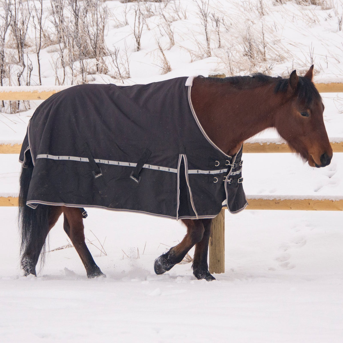 Classic Equine 10K Cross Trainer Blanket CXB10.