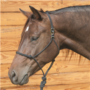 Classic Equine Quick Change Halter with Lead HALTERLEADBKLBK