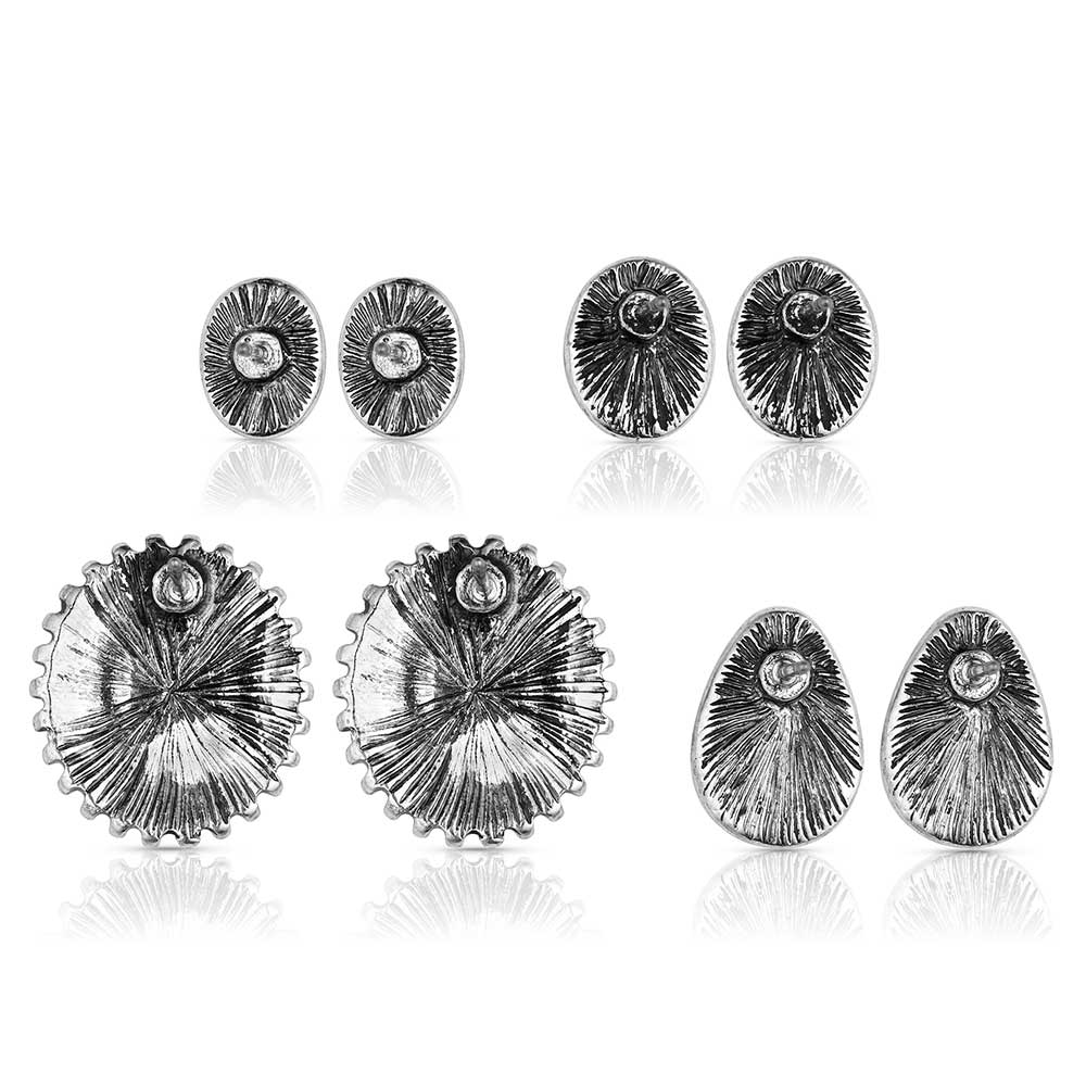 Montana Silversmiths Turquoise Studs Earring Set AER6345