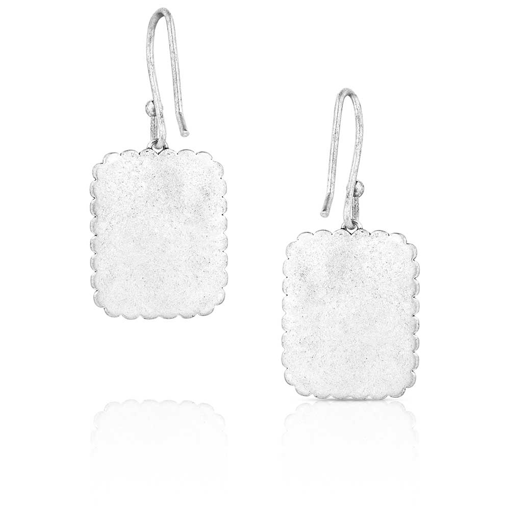 Montana Silversmiths Double Essence Earrings ER6013
