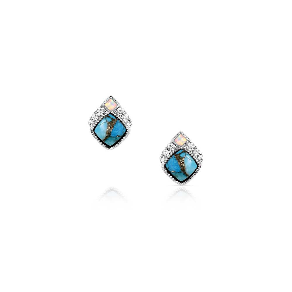 Montana Silversmiths Crowned Glacier Earrings #ER6313