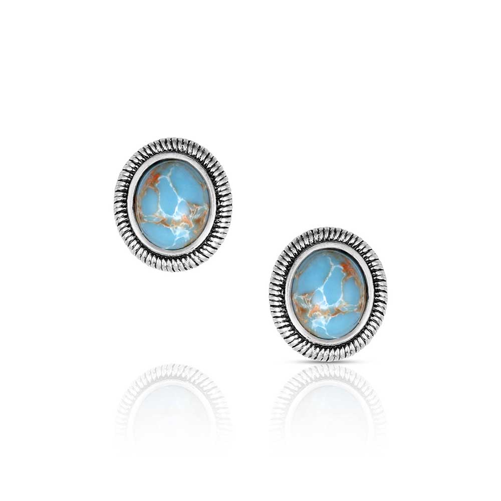 Montana Silversmiths Denim Nights Earrings ER6316