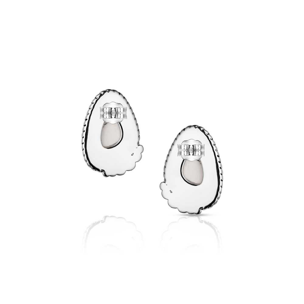 Montana Silversmiths Stargazer Earrings ER6404