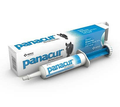 Panacur (Fenbendazole) Dewormer Paste.
