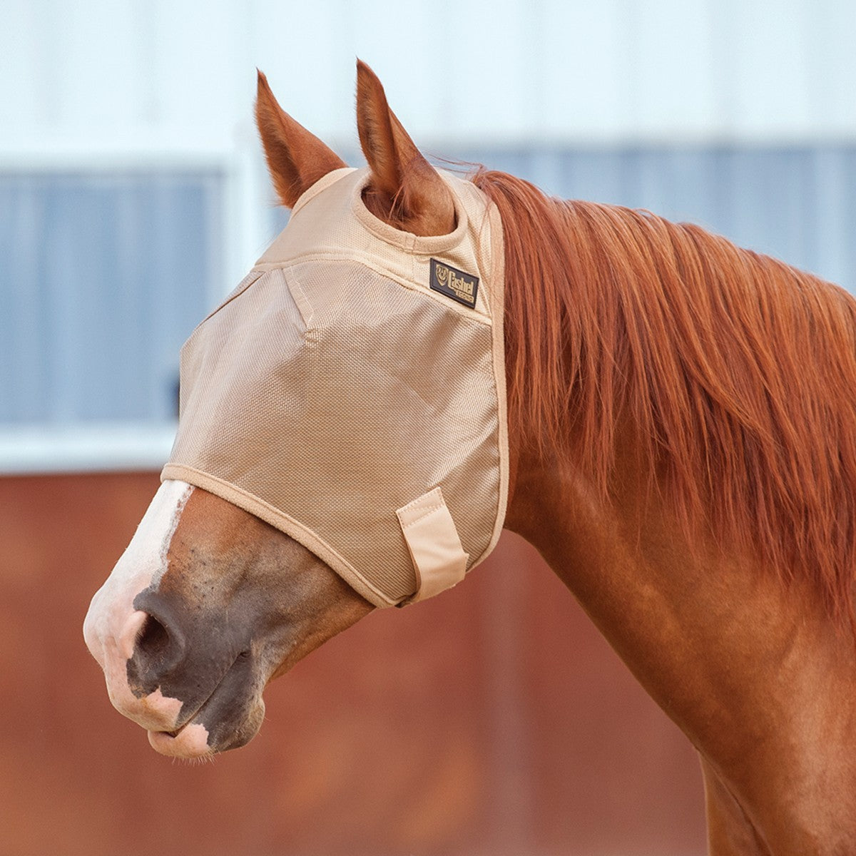 Cashel Standard Econo Fly Mask EFM