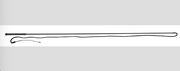 American Heritage Equine 54'' Lunge Whip 241-620