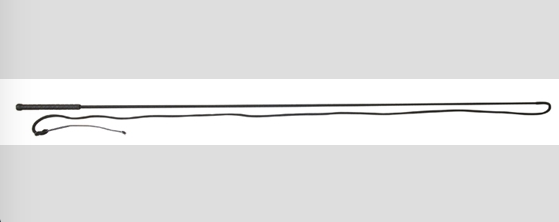 American Heritage Equine 54'' Lunge Whip 241-620