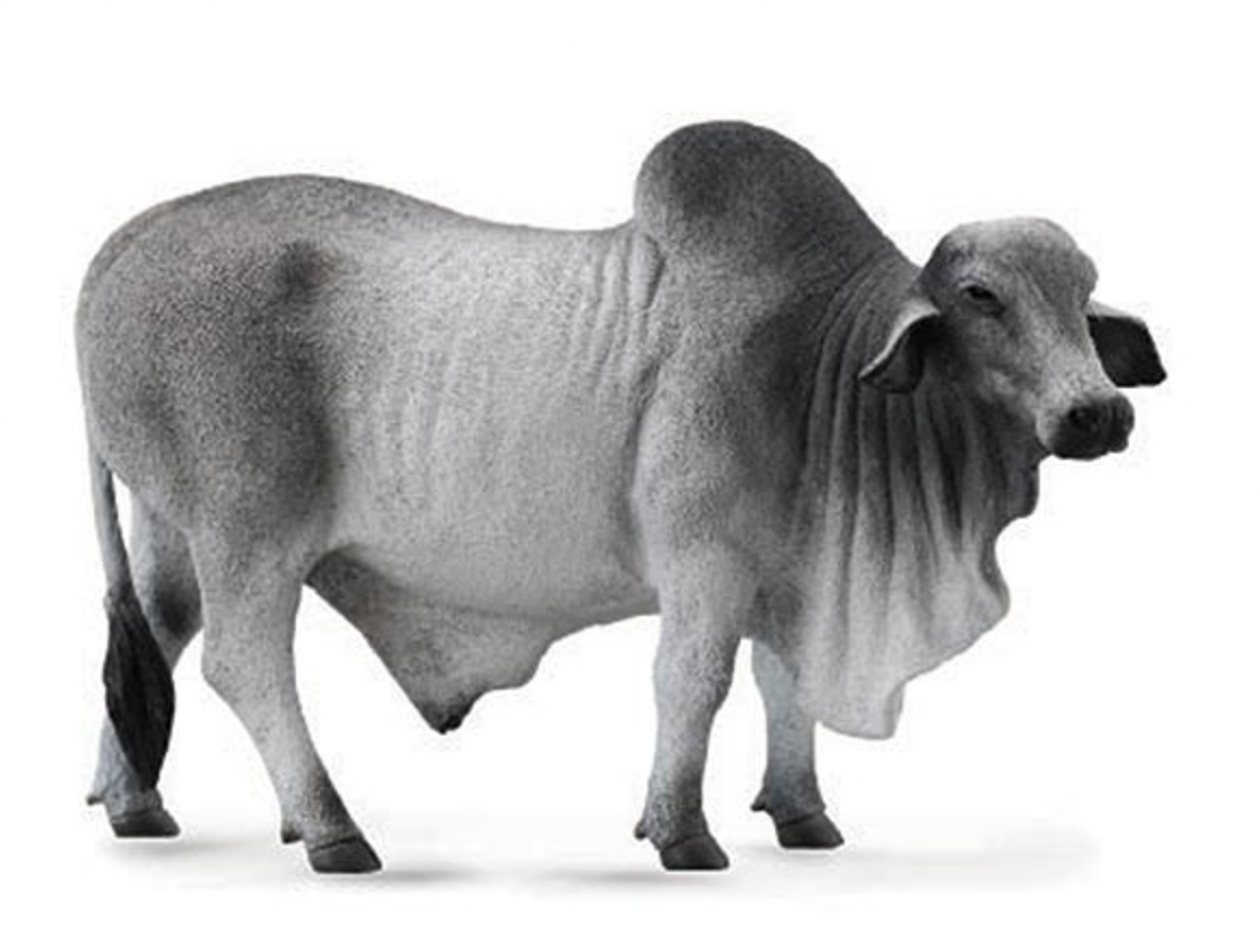 BREYER BRAHMAN BULL 88579.