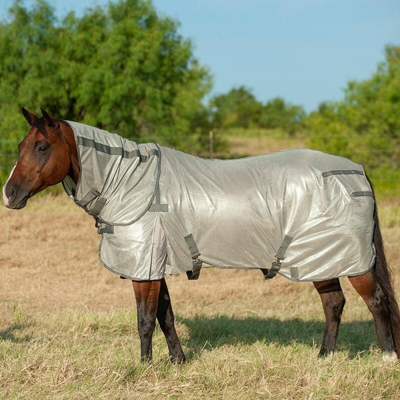 Cashel Econo Fly Sheet with Neck Guard.