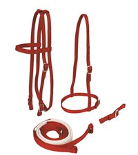 Jacks 3 Piece Nylon Race Bridle Set 10341 RY