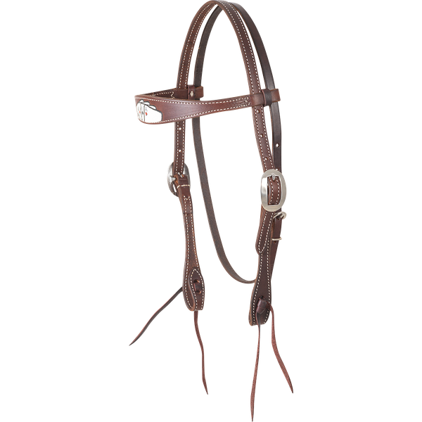 Martin Cardsuit Painted Headstall.