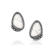 Montana Silversmiths Stargazer Earrings ER6404
