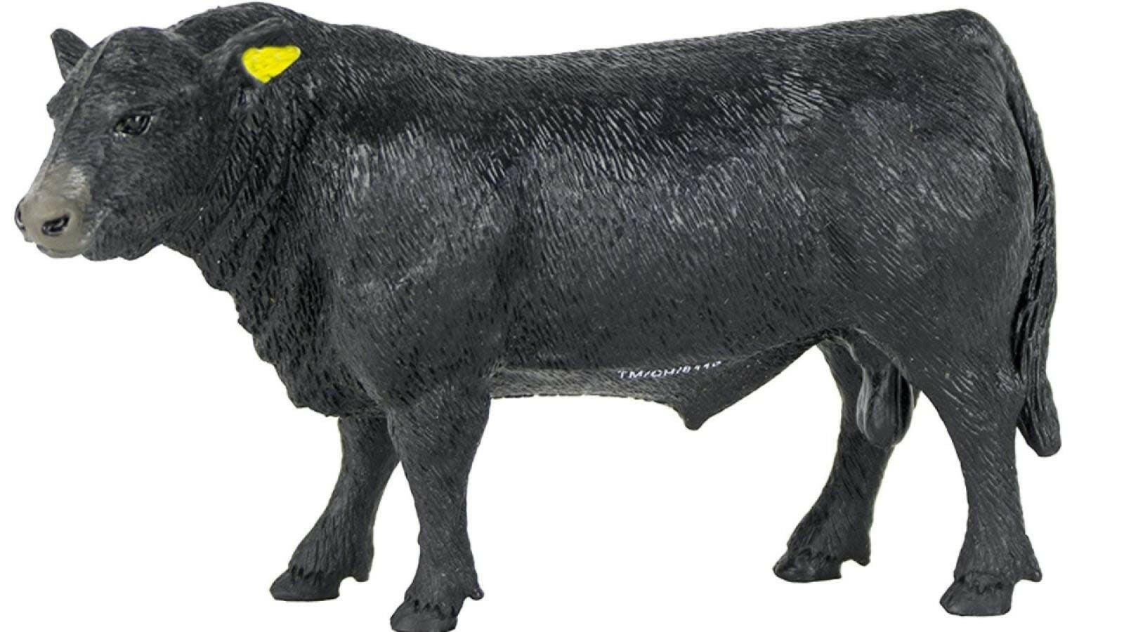 Big Country Angus Bull.