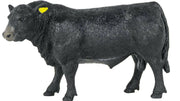 Big Country Angus Bull.