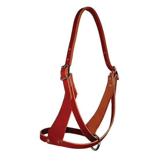 Berlin Custom Leather Figure Eight Foal Halter NO80F