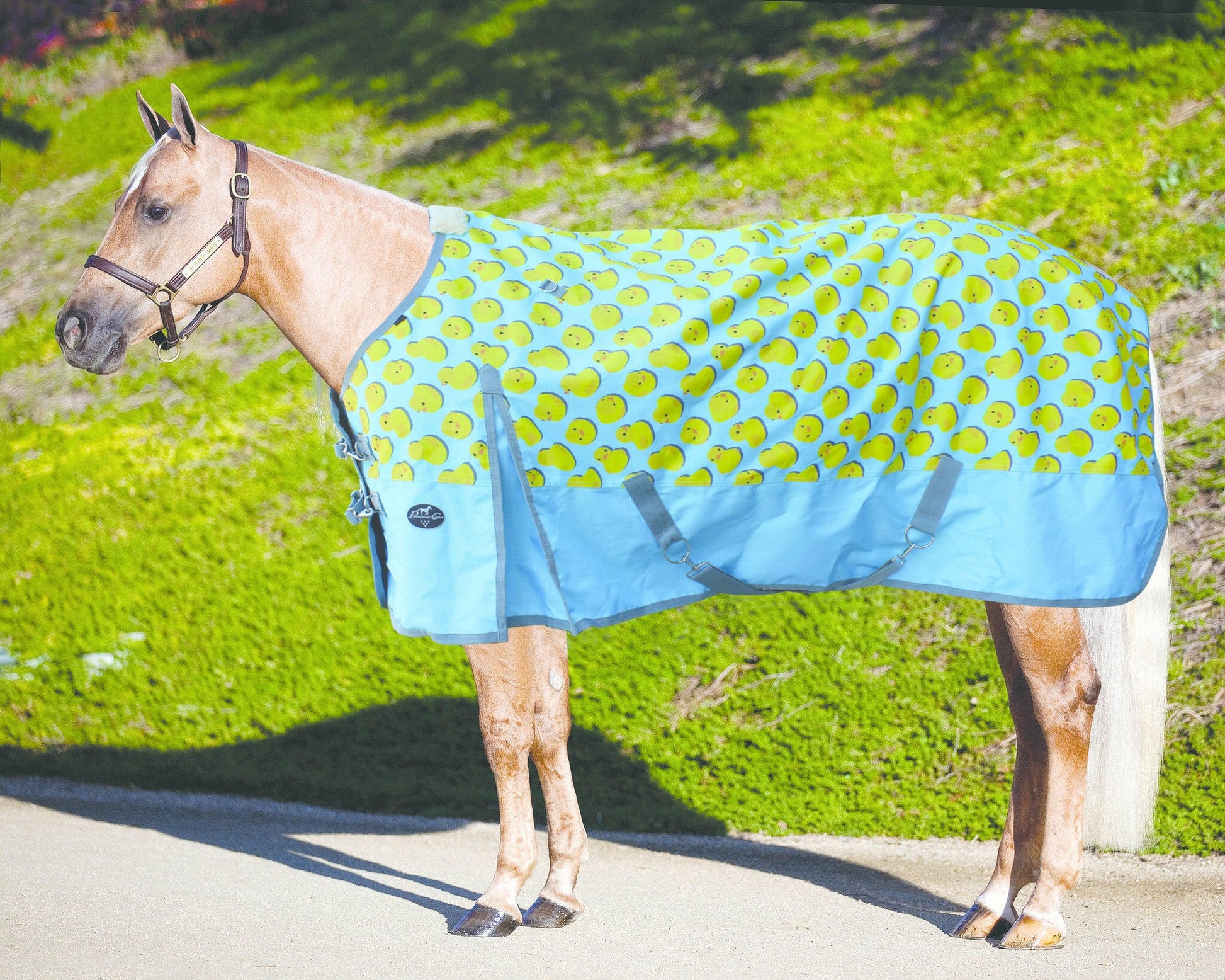 Professionals Choice 1200D Rain Sheet.